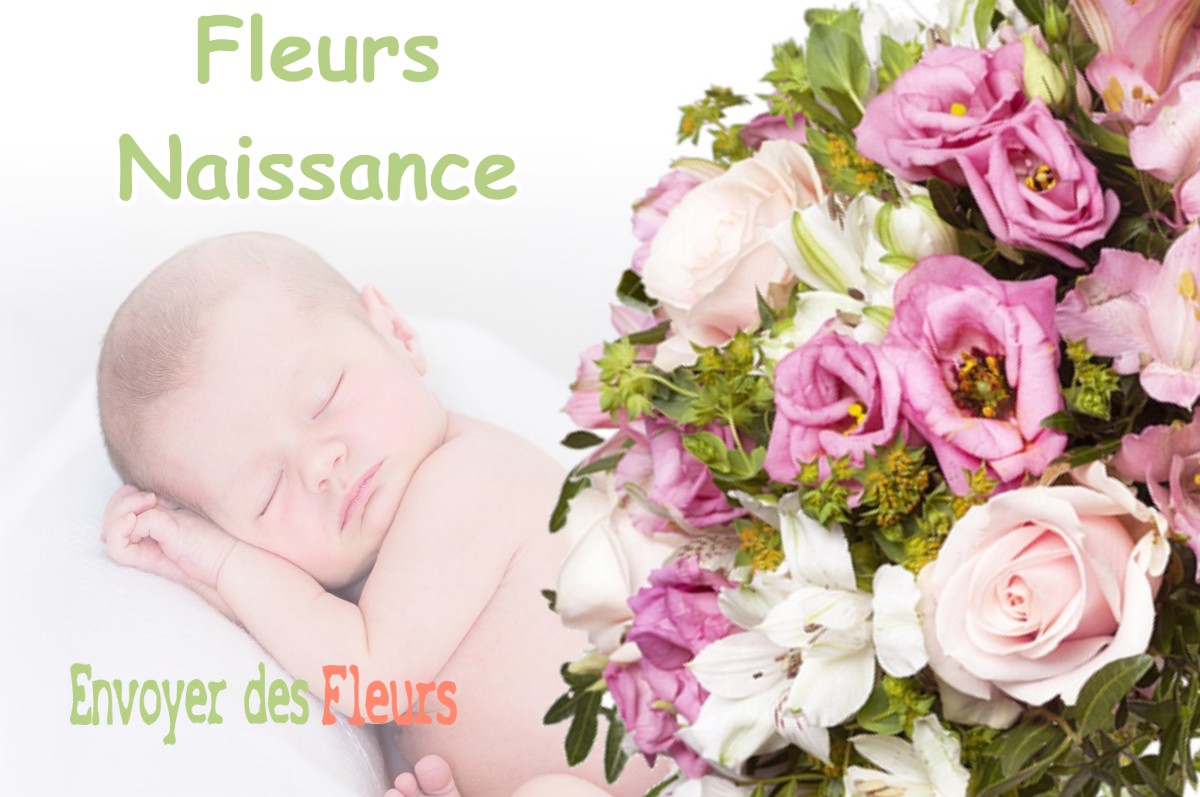 lIVRAISON FLEURS NAISSANCE à LAINS